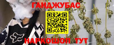 стаф Тула