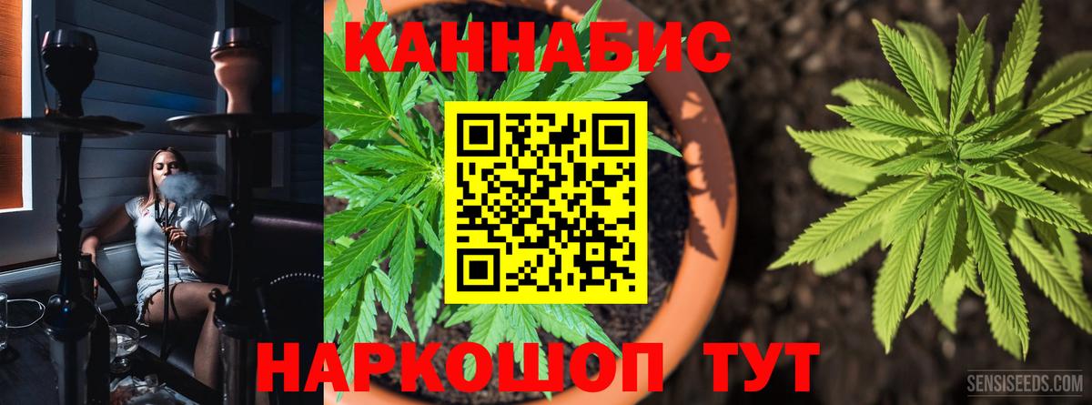 Бошки Шишки White Widow  Вход с VPN  Ангарск  Шишки марихуана гибрид 